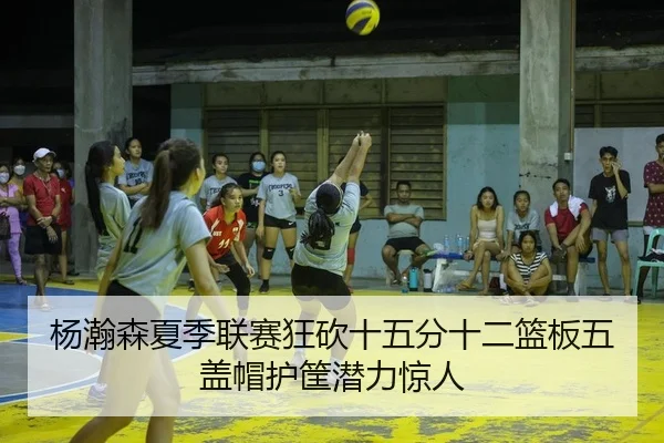 杨瀚森夏季联赛狂砍十五分十二篮板五盖帽护筐潜力惊人